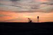 pumpjack sunset