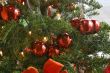 Christmas Tree Closeup