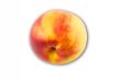 Nectarine isolated