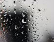 Raindrops