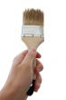Brush
