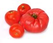 group of tomatos