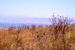 Galilee landscape