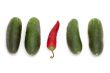 red pepper and cucumber