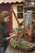 In the greenhouse