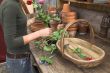 Arranging the flowers