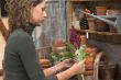 Working in the greenhouse