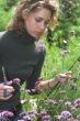 Pretty woman cutting flowers