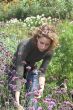 Working in the garden