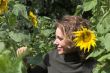 Hiding behind the sunflowers