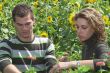 Working in the garden