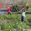 Cleaning Lake