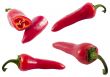 red hot chili pepper series