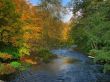 colorful autumn river