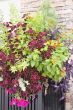 Planter Box