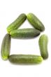 cucumber house