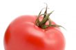 Tomato macro close up