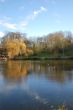 Lake reflection