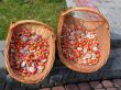 candies on the street