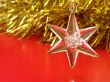Christmas star
