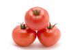degressive tomato