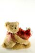 Teddy Bear Holding Container of Roses
