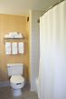 Toilet, towel rack and shower