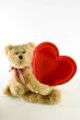 Teddy Bear with Large Red Heart