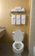 toilet and towel rack
