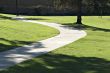 Path through green grass