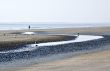 Beach at Low Tide