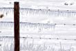 Icicles on Barbed Wire