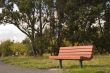Red Bench on Path