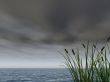 dark sky