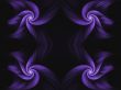 Wisp and Violet