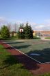 Basketball court