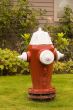 Red and White Fire Plug