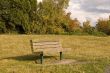 Bench in Meadow