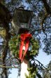 Decorative Lamp Detail with Christmas Wreath and Red Bow