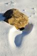 Boulder in Snow