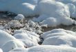 Winter view