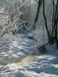 Winter view