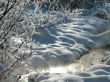 Winter view