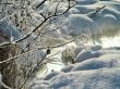 Winter view