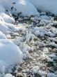 Winter view