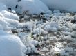 Winter view
