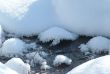 Winter view