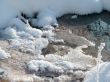 Winter view