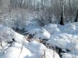 Winter view