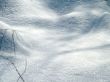 Winter view